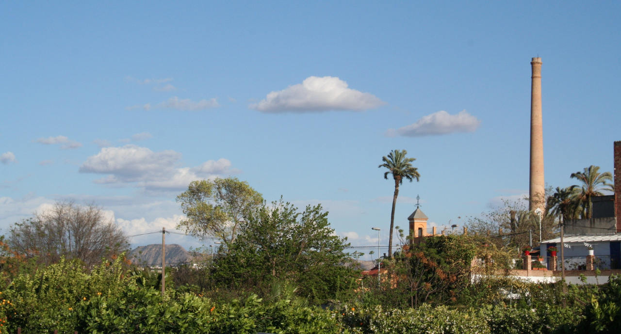 La huerta de Murcia en La Albatala